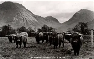 Highlanders: Invereggan Highlanders, Glen Coe, Argyllshire