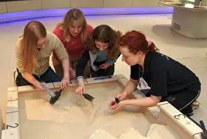 Clore: Investigate, the Natural History Museum