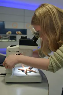 Clore: Investigate, the Natural History Museum
