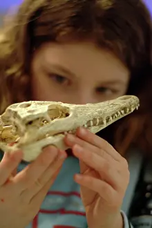 Clore: Investigate, the Natural History Museum
