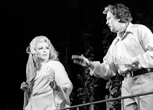 Dorothea: Invitation into a castle performance, 1972