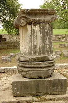 Shaft: Ionic column