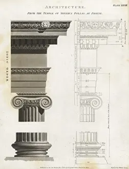 Longman: Ionic column from the temple of Minerva Polias at Priene