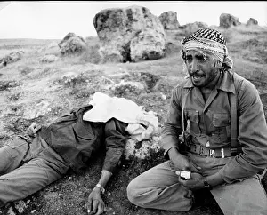 Tehran: Iran and Iraq War