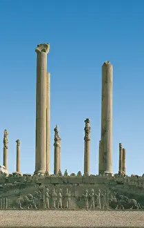 Iranians: Iran. Persepolis. Apadana