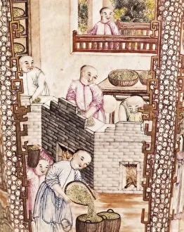 Bushel: IRAN. Tehran. Golestan Palace. Tea growing. Leaf