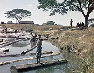 Teak: Irawaddy River - Rangoon