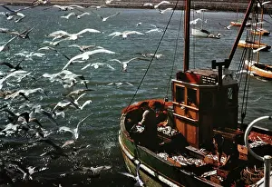 Stunning: Ireland in Colour