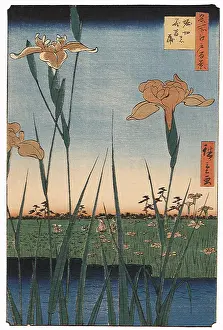 Paddies: The Iris Gardens, by Hiroshige
