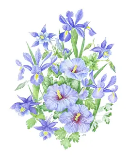 Wedgwood: Iris, Hibiscus and Blue Aquilegia