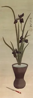 Flaring: Iris and Knife