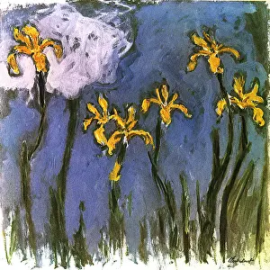 Irises: Iris, by Monet