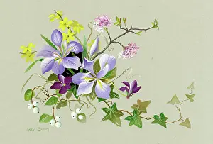 Jessamine: Iris stylosa, winter jessamine, violets, snowberries etc