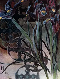 Arabesques: Irises