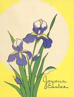 Irises: Irises