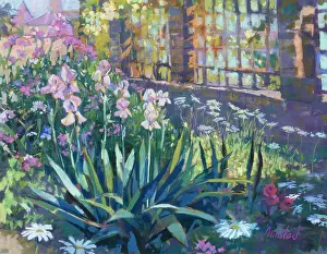 Irises " garden with pink irises