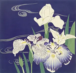 Bstp1602: Irises, by Tsukioka Kogyo