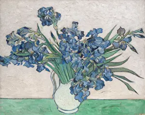 Painterly: Irises, by Van Gogh