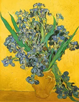 Irises: Irises, by Vincent Van Gogh