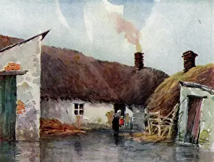 Bayly: Irish Cabin