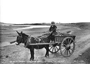Desolate: An Irish Donkey and Cart Bringing Home the Spuds