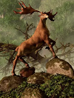 Buck: An Irish Elk stands proudly in a dense forest