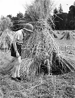 Stook: IRISH FARM BOYS