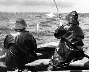 Wexford: IRISH FISHING BOAT