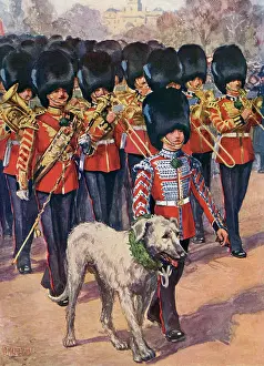 Wolfhound: IRISH GUARDS & MASCOT