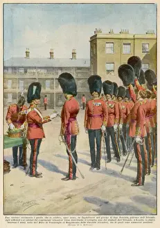 Shamrock: IRISH GUARDS SHAMROCK