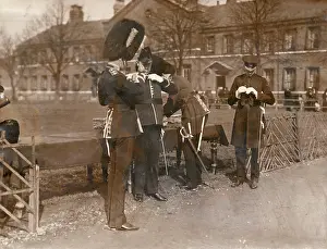 Bearskin: Irish Guards with shamrock