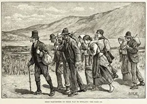 Harvesters: IRISH HARVESTERS