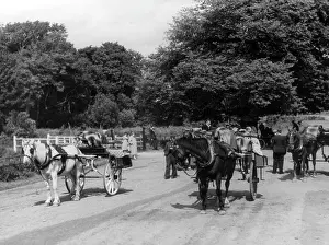 Jaunting: IRISH JAUNTING CARS