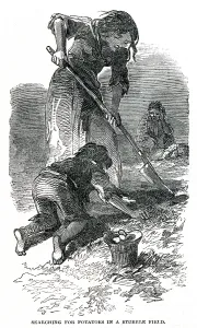 Fend: The Irish potato famine 1849