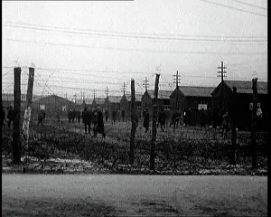 Fenced: Irish Prisoners Walking Across A Barbed Wire