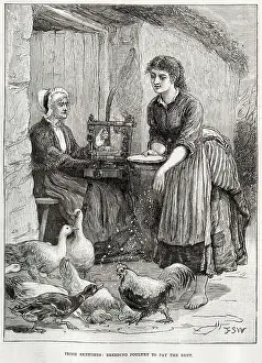 Hens: Irish sketches: breeding poultry