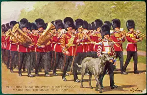 Mascots: Irish Wolfhound Mascot