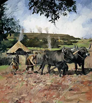 Arable: Iron Age farming