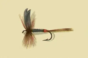 Atherton: Iron Blue Dun