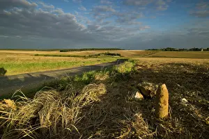 Uncovered: Iron harvest