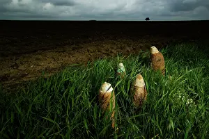 Maur: Iron Harvest