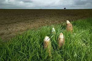 Uncovered: Iron Harvest - Somme Battlefield