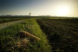 Passchendaele: The Iron Harvest - unexploded shell in Passchendaele land