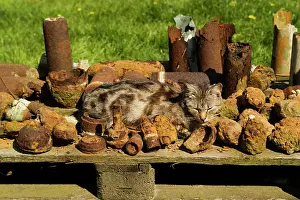 Recovered: Iron Harvest - unexploded shells