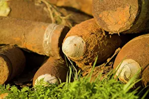 Dumped: Iron Harvest - unexploded shells and mortar bombs