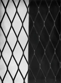 Mesh: Iron netting mesh