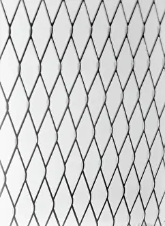 Mesh: Iron netting mesh