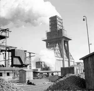 Historians: Iron plant