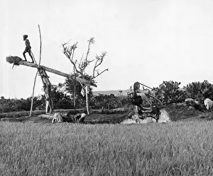 Madras: Irrigation pump in India, 1930