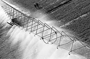 Irrigation: Irrigation in Stavropol, 1978